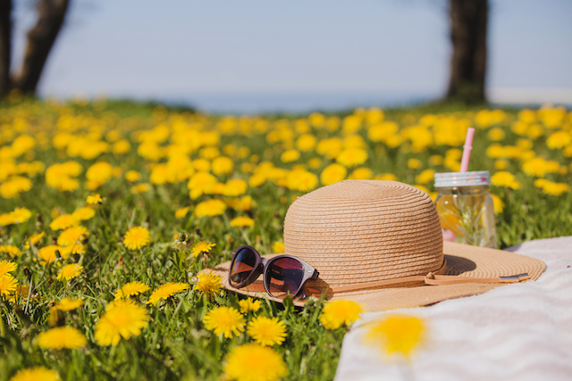 Испепеляющую жару до +39 градусов анонсировал Гидрометцентр 