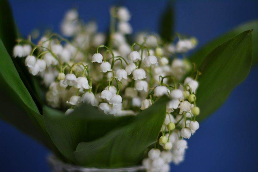 Свежо и сухо: 4 июня в Татарстане воздух прогреется лишь до +23 градусов