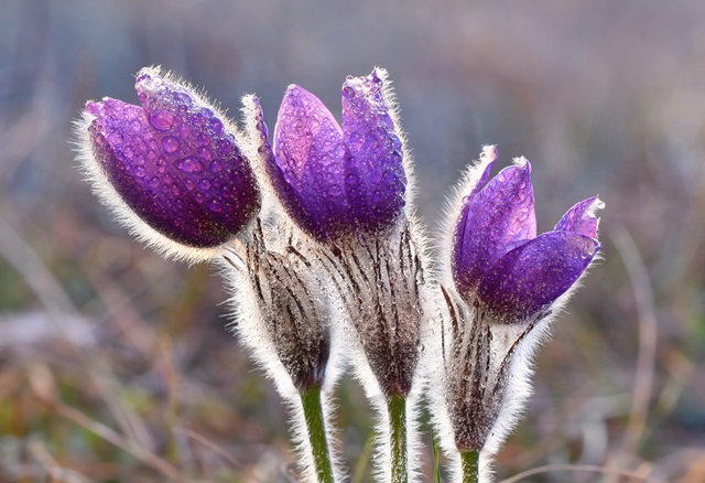 Гидрометцентр спрогнозировал резкое мартовское потепление выше +20 градусов
