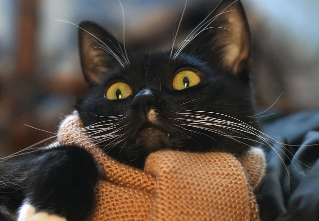 25 октябрьдә Татарстанда бозлавык көтелә