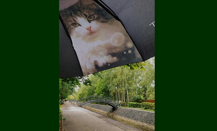 Татарстанга яңгырлар һәм көчле җил килә