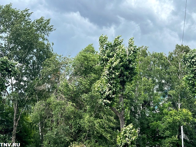 Ниже нормы: неутешительный прогноз на завершение июня в Татарстане дали синоптики