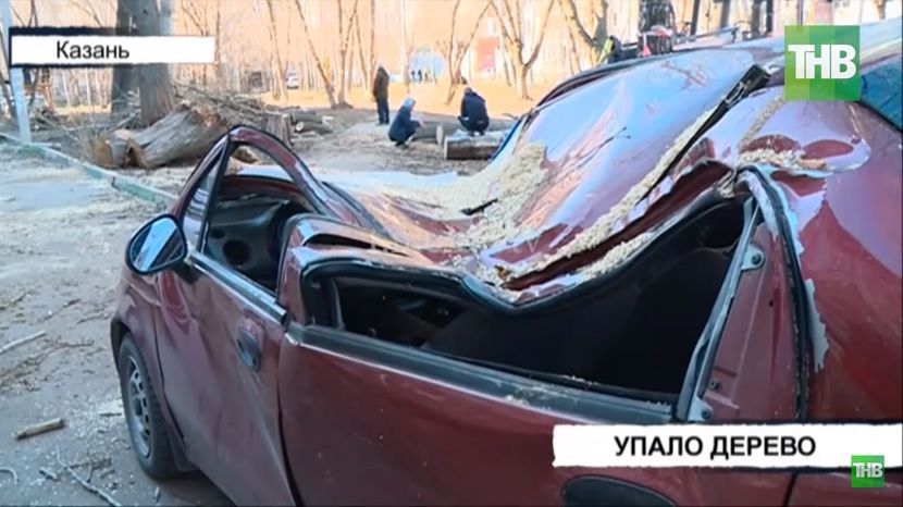 Жителям Татарстана напомнили об опасности, которую представляет сильный ветер
