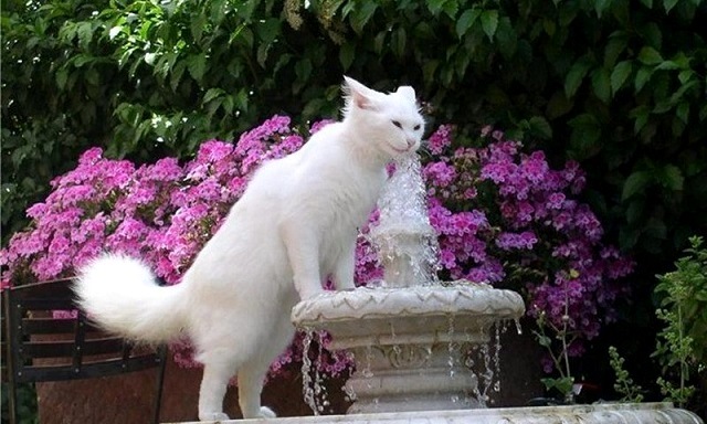 33-градусная жара, грозы и усиление ветра ожидаются в Татарстане 9 августа