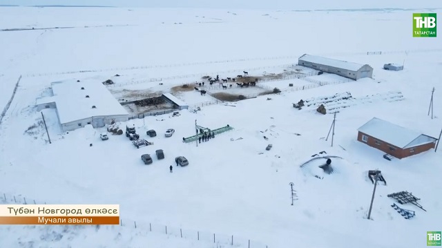 "Туган авылым": Түбән Новгород өлкәсе, Мучали авылы белән таныштырабыз