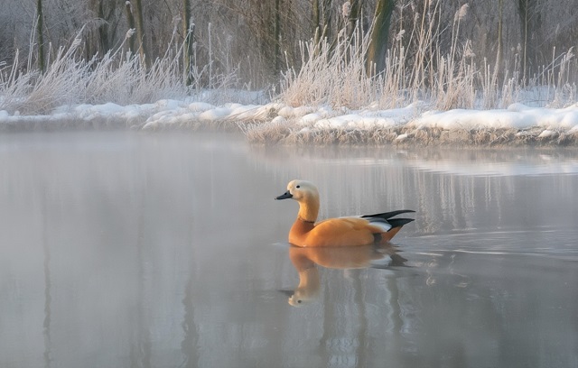 Зима не сдается, но тепло уже рядом: погода выходных в Татарстане