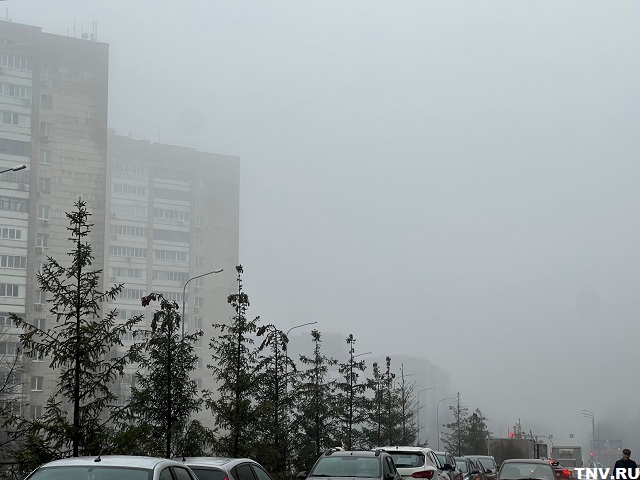 До +3 градусов прогреется воздух в середине первой недели зимы в Татарстане