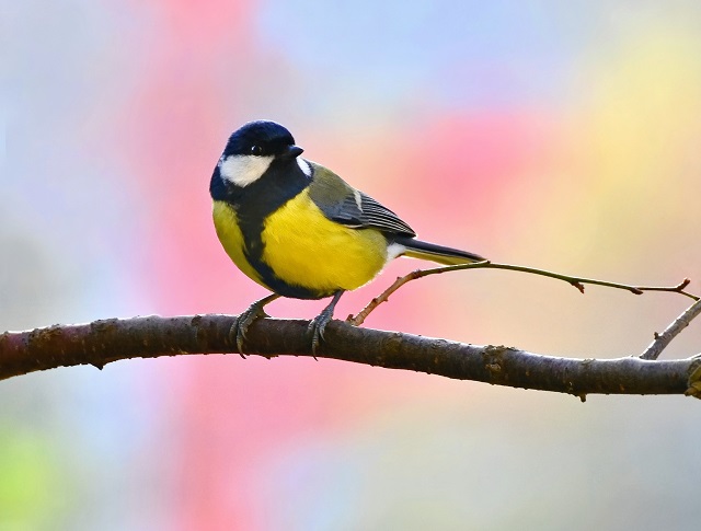 «Сплошь положительные температуры»: теплые воздушные массы захватят Татарстан