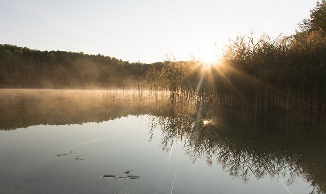 Туманное утро и теплый день без осадков ожидает татарстанцев 26 августа