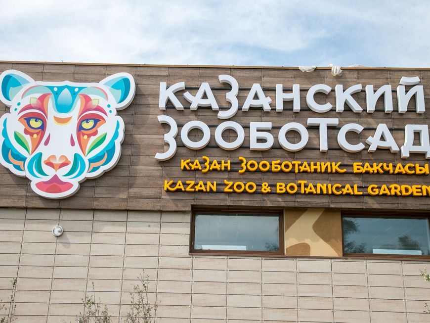 В конце декабря в Казани откроется новый зоопарк «Река Замбези. Африка»