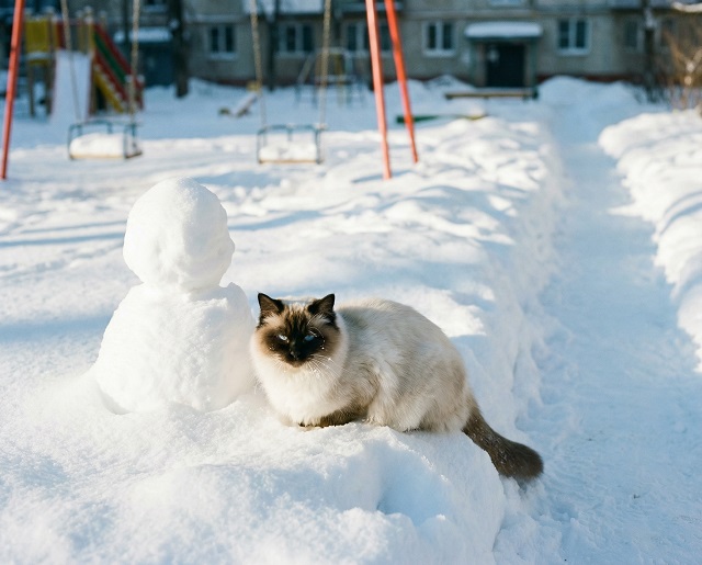 Кыш ахырында Татарстанда җылыта башлый