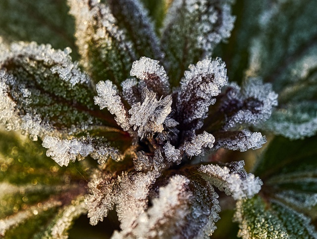 Заморозки принесет в Татарстан арктическое вторжение