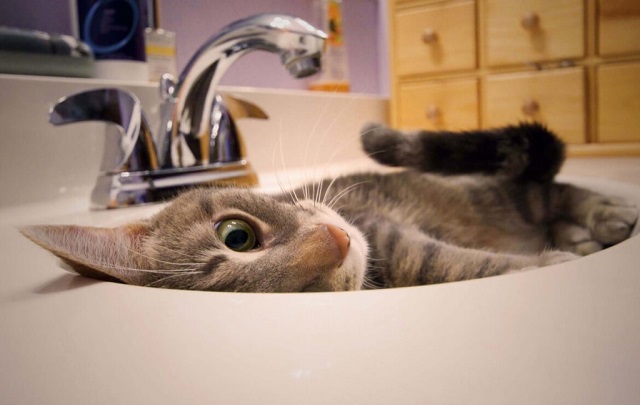 В домах Ново-Савиновского района Казани 27 апреля на сутки отключат водоснабжение