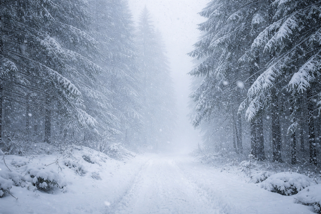 Снежная буря и резкое похолодание: стало известно, что ждёт Татарстан 9 февраля