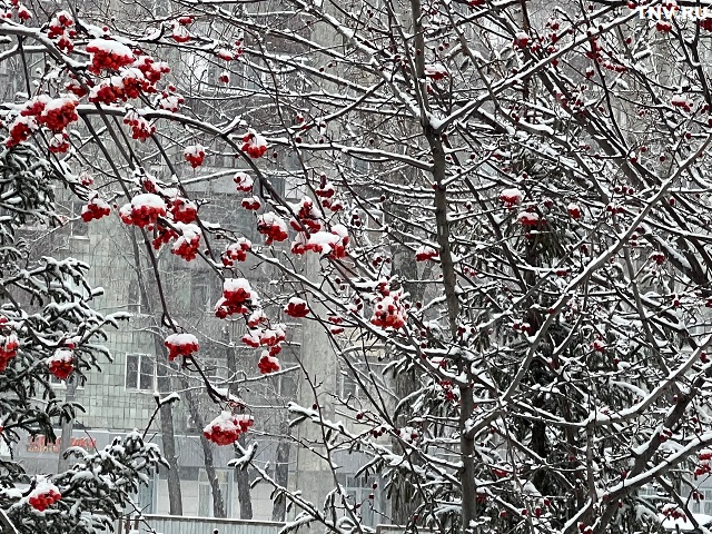 Мокрый снег и до +4 градусов ожидаются в Татарстане в начале праздничных выходных