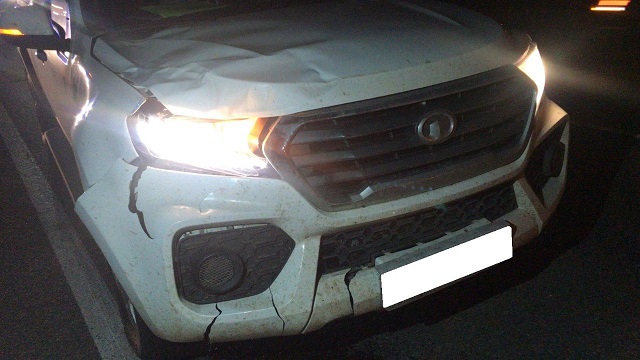 64-летний пешеход погиб под колесами иномарки на трассе в Татарстане