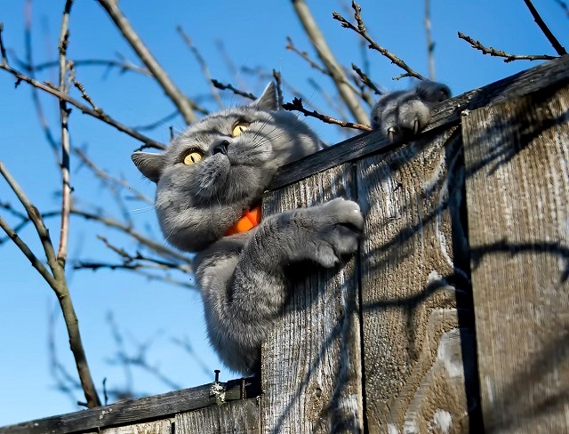 Туман и похолодание до -9 градусов накроют Татарстан в конце рабочей недели