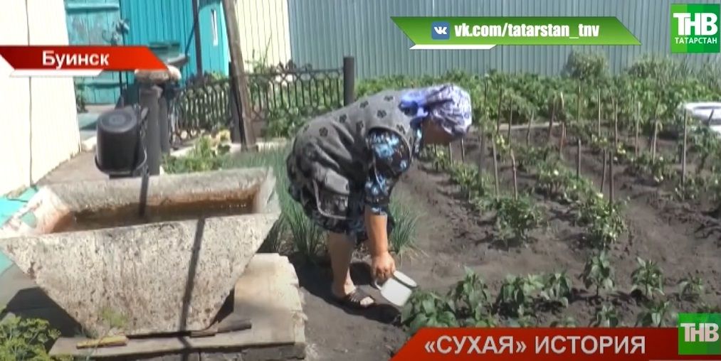 «В Республике нет воды»: на одной из улиц Буинска – засуха – видео