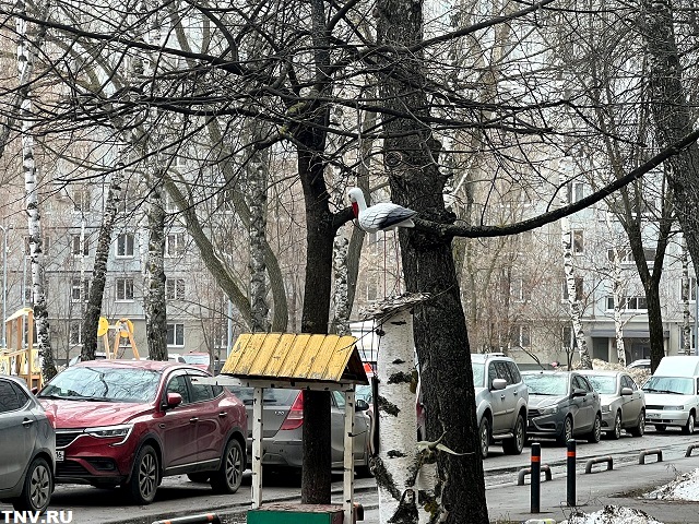 Мокрый снег, гололедица и не выше +7 градусов: непогода накрывает Татарстан