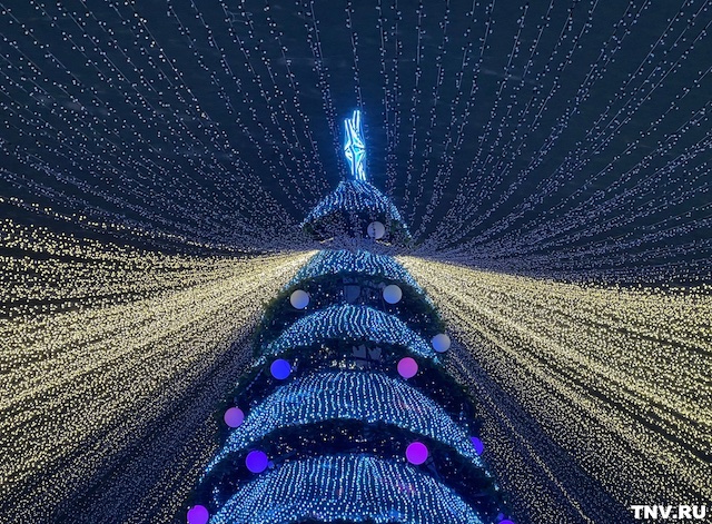 Новогодние елки в Казани завершают свою работу