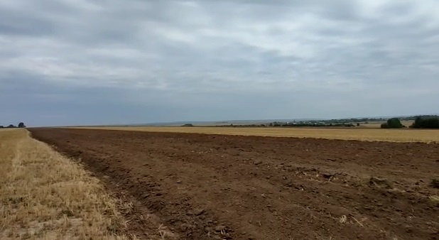 Быелгы уңыш күләмен һәм корылык китергән зыянны кабат санадылар