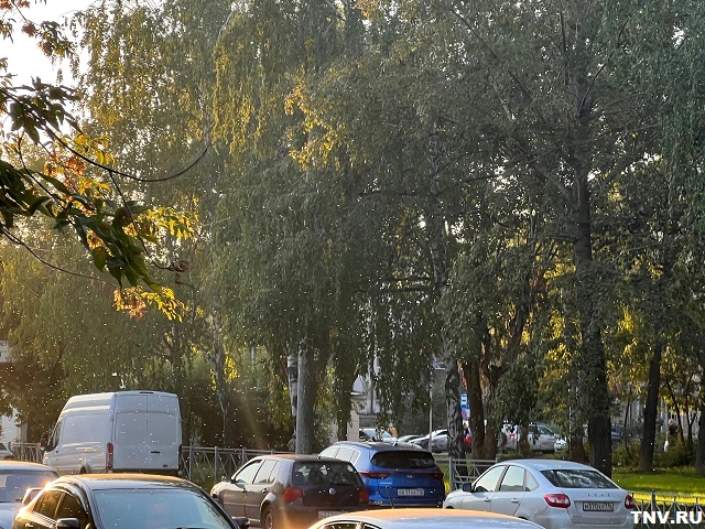 Москитные сетки не спасают: татарстанцам назвали причины нашествия мошкары, и как спастись