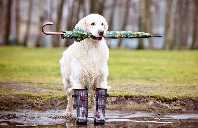 Резкое потепление ожидает жителей Татарстана 2 апреля