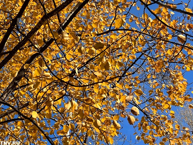 Поток тепла согреет Татарстан в выходные