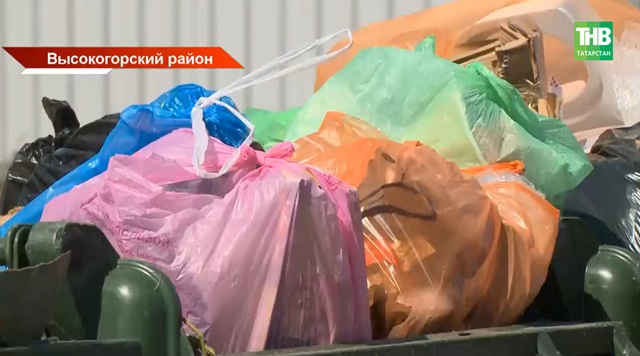 Вонь, собаки и мусор на земле: жители Чернышевки требуют решить проблему с отходами