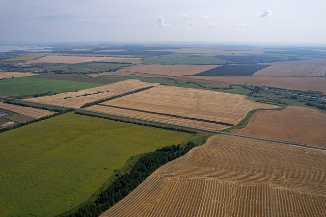 Татарстанда миллион тоннага якын ашлык җыелган