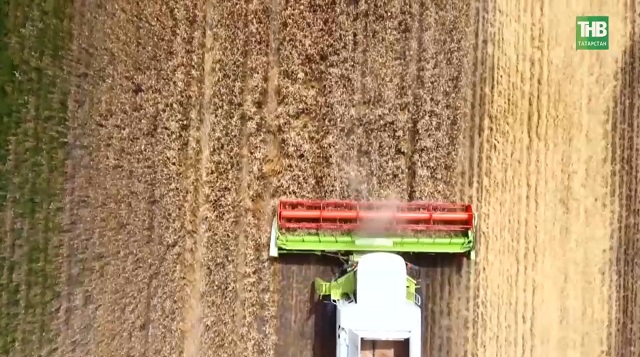 Почему фермеры из других регионов хотят переехать в Татарстан?