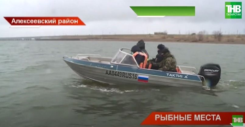В Татарстане специалисты комитета по биоресурсам выявили 6,5 тысяч сетей браконьеров - видео