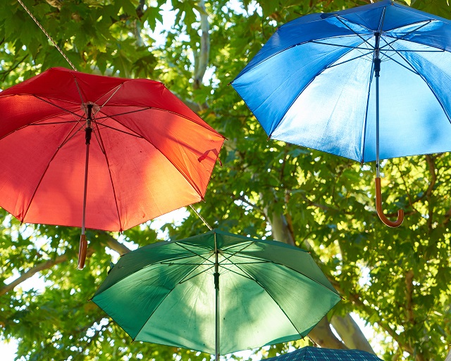 Лето сбежало: осеннее похолодание до +5 градусов накроет Татарстан в выходные