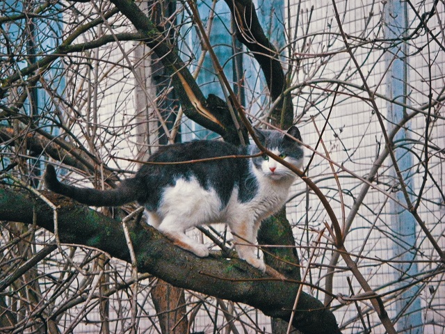 Холодное начало предпоследних мартовских выходных ждет Татарстан