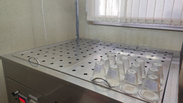 В Татарстане продолжается оценка качества семян лесных растений