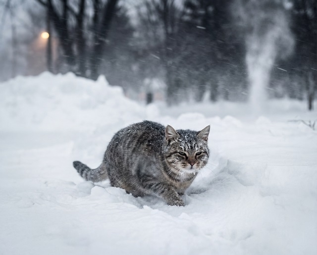 Ураганный ветер, сильный снег и резкое потепление накроют Татарстан в пятницу, 13-го