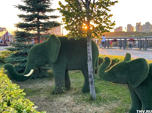 Летняя погода в Татарстане задержится еще на неделю