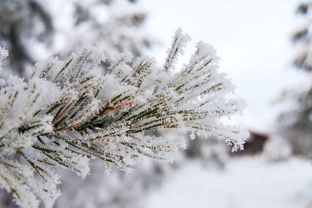 В Татарстане наступила астрономическая зима