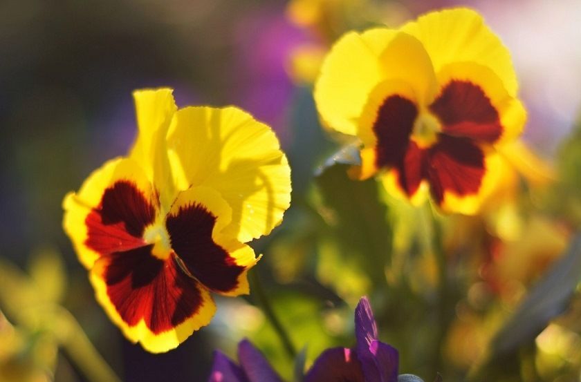 По-прежнему жарко: 30 июня в Татарстане воздух прогреется до +34 градусов