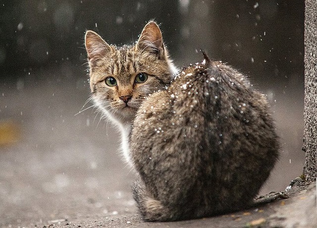 16 мая в Татарстане воздух прогреется до +24 градусов и прогремят грозы