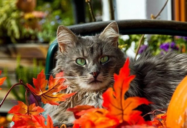 Эш атнасы ахырында Татарстанда +24 градуска кадәр җылытачак