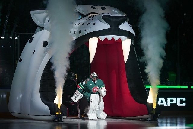 «Ак Барс» - «Адмирал»: прямая трансляция в эфире ТНВ