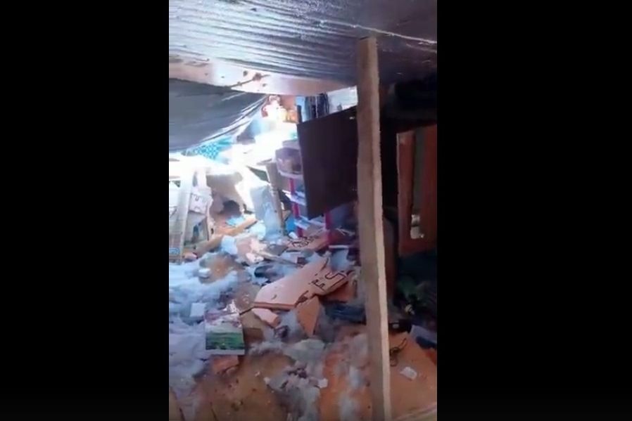 В приюте для бездомных животных под Нижнекамском обрушилась крыша - видео