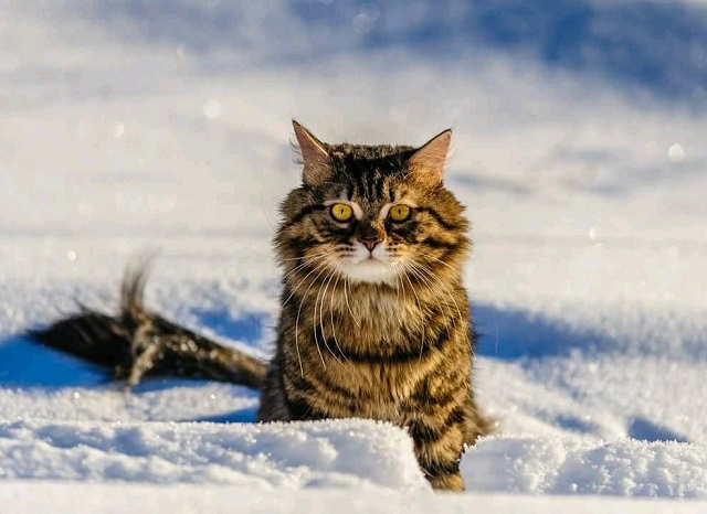 Кышның беренче көнендә Татарстанда -19 градуска кадәр салкын булачак