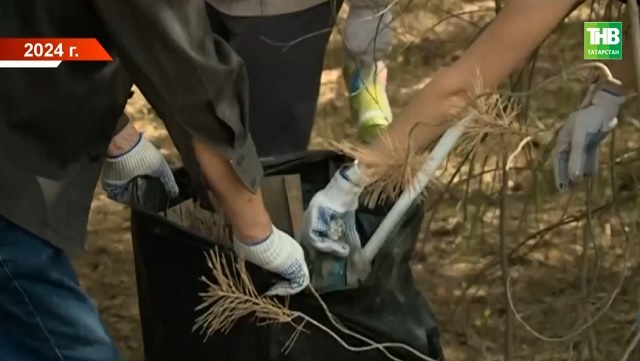 Минниханов поручил уделить особое внимание уборке парков, набережных и дворов