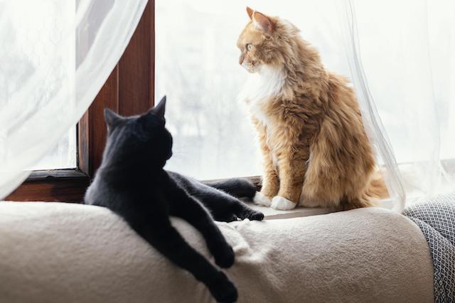 Похолодание, мокрый снег и гололедица надвигаются на Татарстан