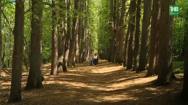 Парк Паулуччи в Татарстане: как соблюсти границы закона и культурного наследия?