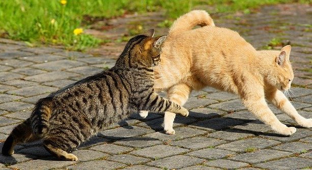 23 апрельдә Татарстан халкы язгы җылы һава торышы белән хозурлана алачак