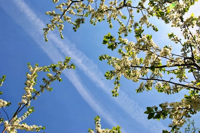 Школьникам и студентам Татарстана разъяснили график выходных в майские праздники