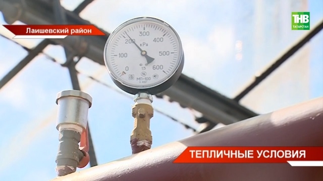Стало известно, когда электросчетчик могут заменить бесплатно
